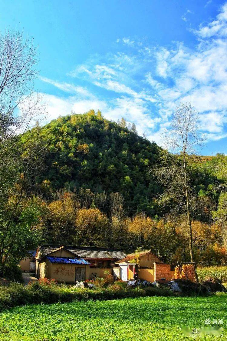 陇南礼县白关镇秋已暮露成霜淡淡思乡情