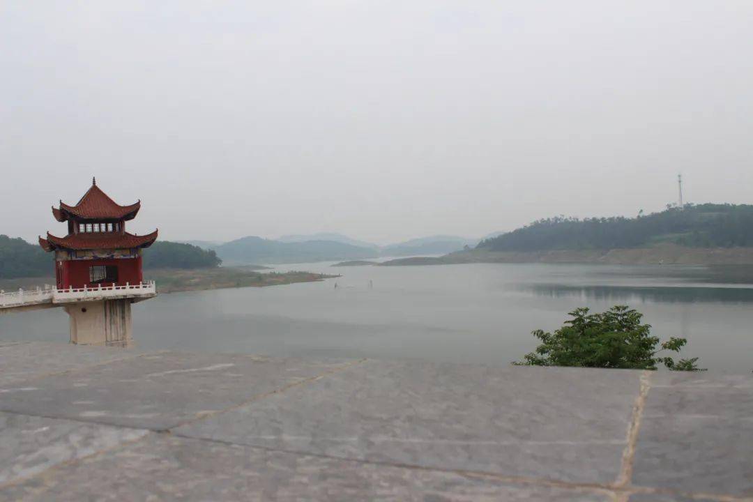 (黑屋湾水库)在人们的印象中,春天是花开的季节也是赏花的最佳时机,赏