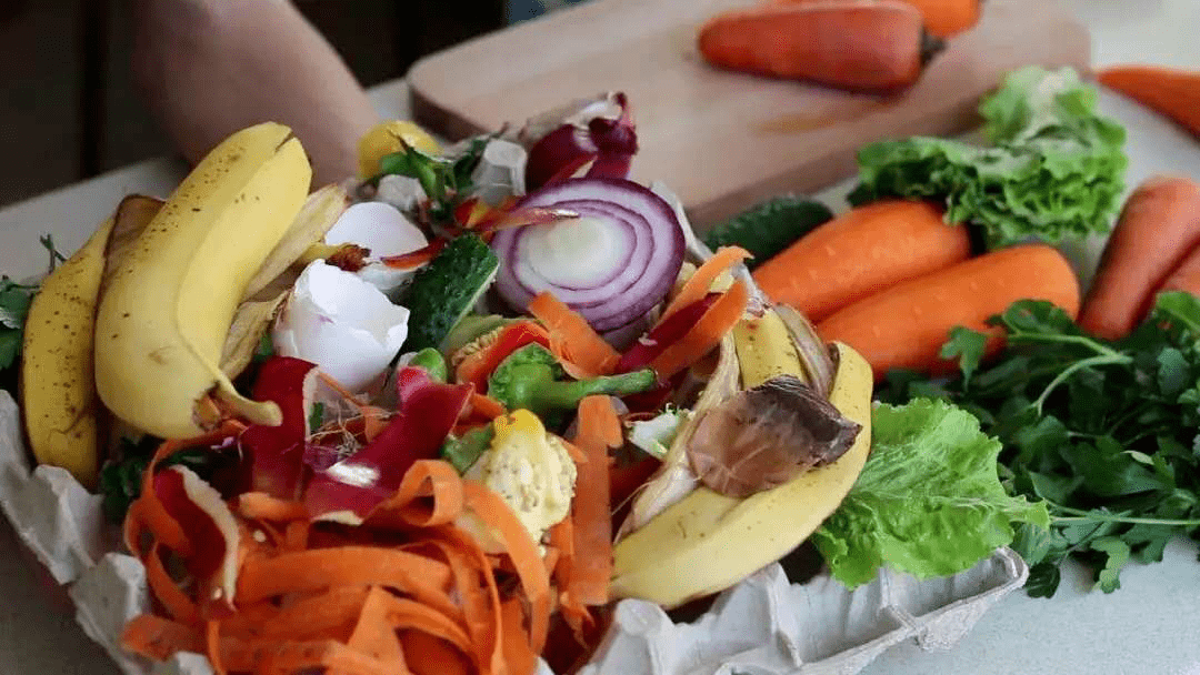 厨余垃圾大作战晒厨余赢大奖