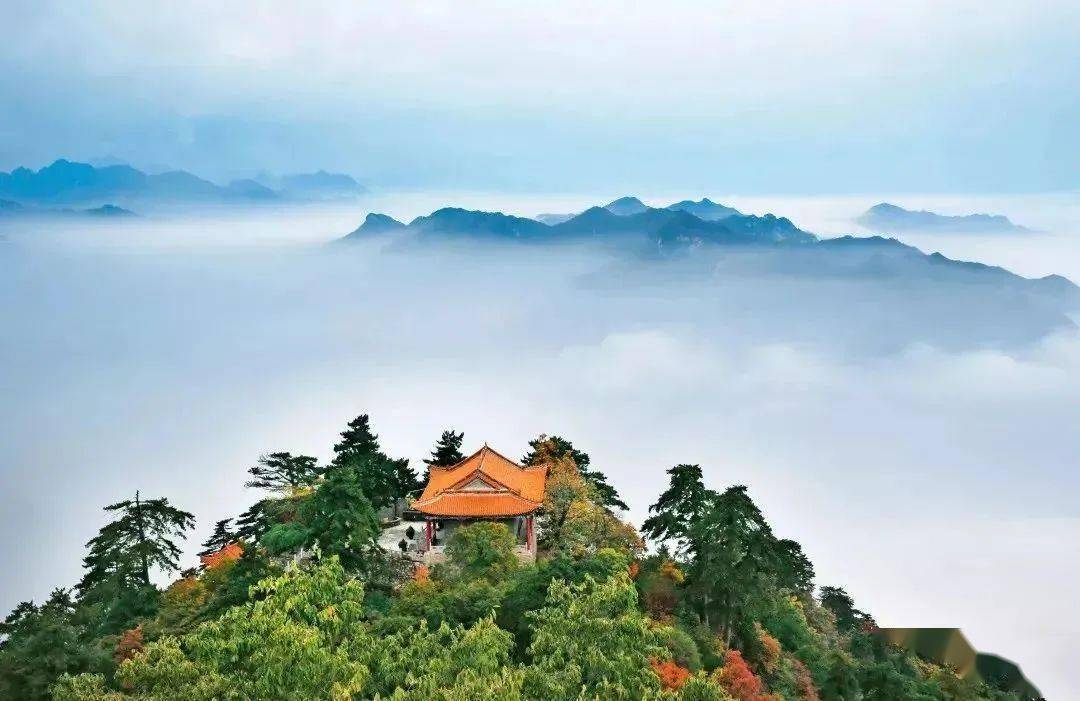 小众惊艳终南山重阳佳节登高处