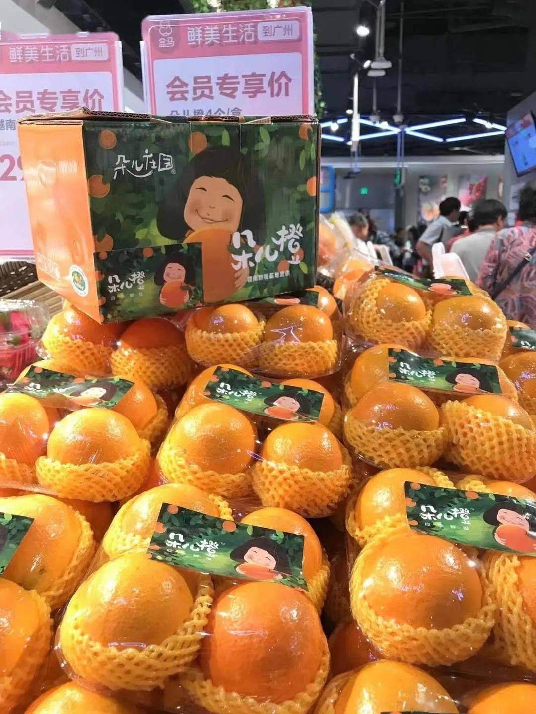 想不想咬一口赣州"朵儿庄园"明星产品"朵儿桔"北京"春播"蜜桔品类盲测