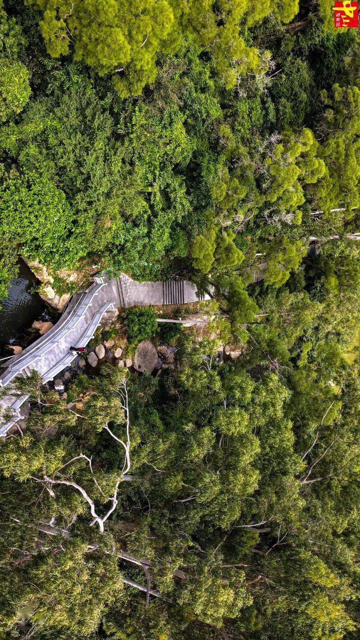 分前全面清场三乡其余可登高地区实施封山坦洲镇:坦洲山公园▲郭贤辉