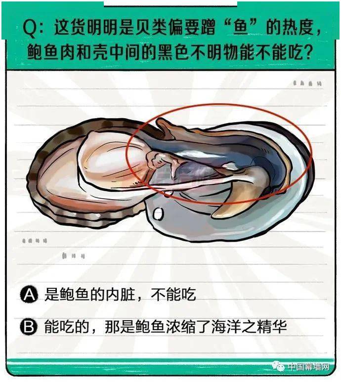 鲍鱼不能吃的部位图示图片