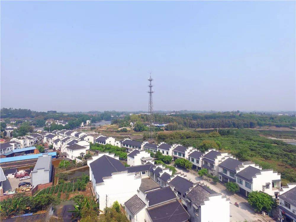 威远县向义镇以打造"花卉观赏,乡村休闲,文化体验"为核心的无花果4a级