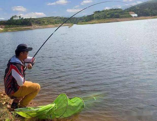 野釣為何偏偏優先選擇鏵尖左側右側真就那麼差嗎