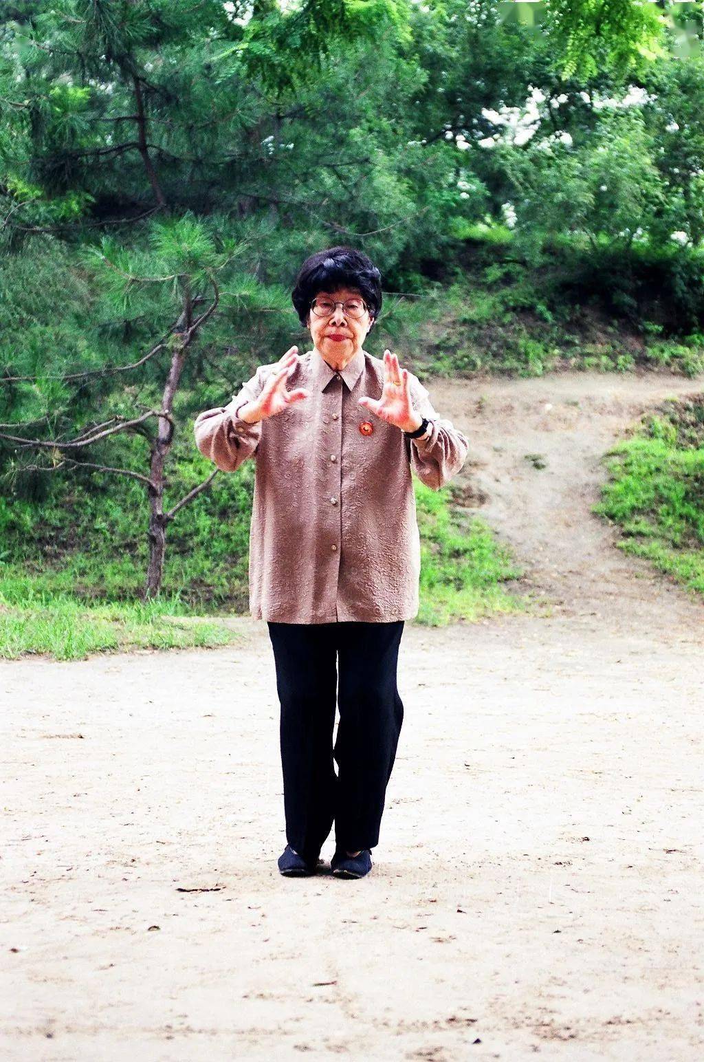 (孙剑云老师太极拳势"开合手")【如封似闭】真正的无懈可击,不是封,也