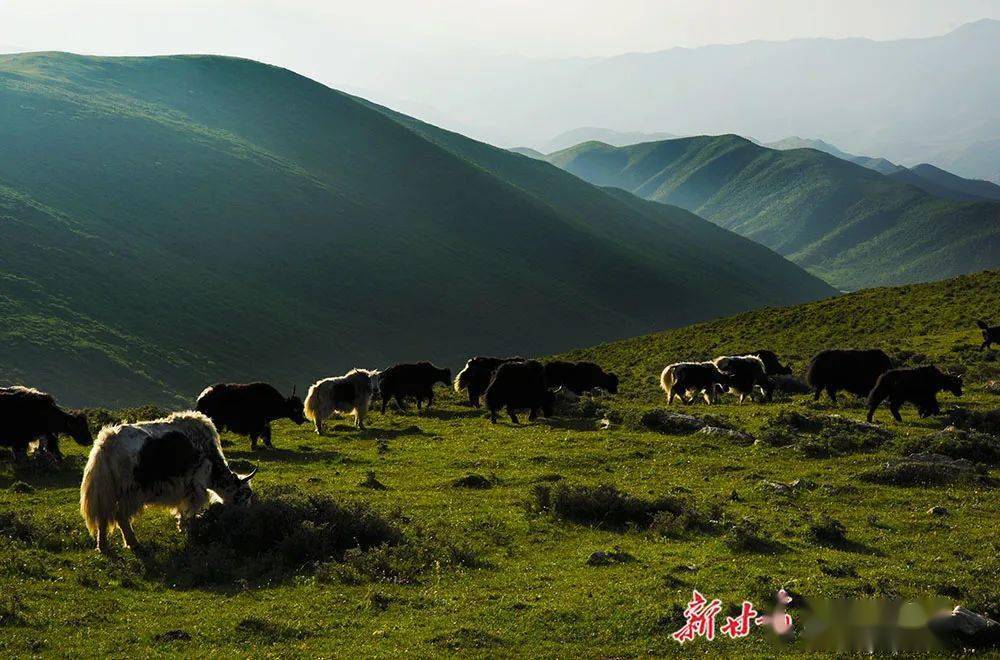 陇中屋脊榆中马衔山黄土高原上的绿色明珠