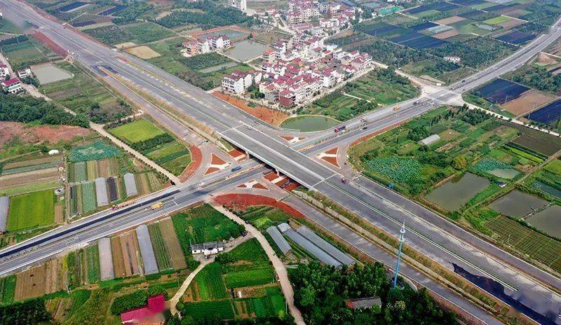 盼望着盼望着金武快速路今日起全线通车