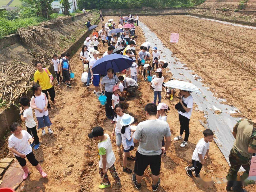 【大件事】大王灘喜提廣西五星級鄉村旅遊區稱號!