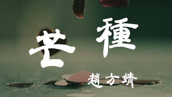芒种赵方婧超高无损音质动态歌词lyrics