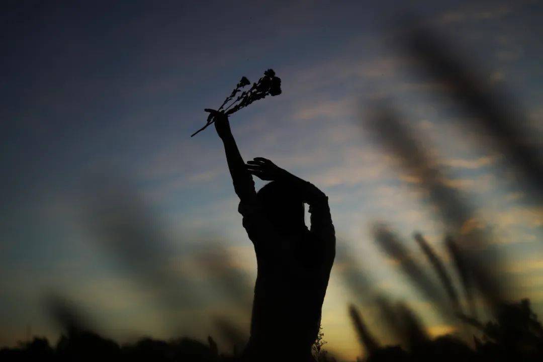 最终长成这唯美浪漫的画卷吗狗尾草不正是努力生长着但只要努力,总会