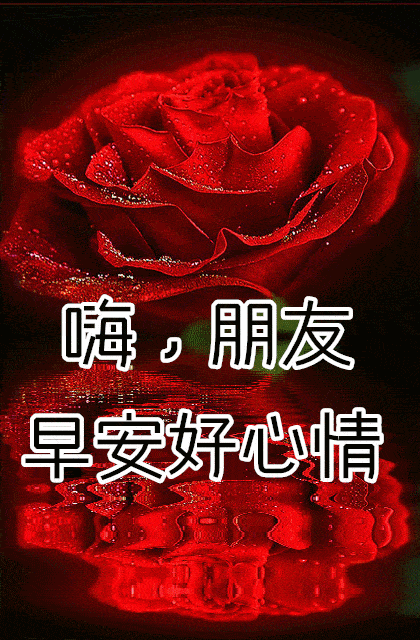 10月26日最漂亮早上好动态表情图片大全早晨好动图美图大全