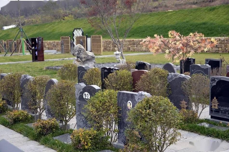 王军到麦积区调研天水人文纪念园项目建设