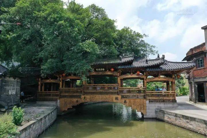 蛟龙出港丨龙港核心后花园云岩描绘三色山水图