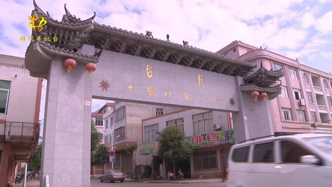 藤县鲜八角13多元/斤,干果50元/斤!_古龙镇