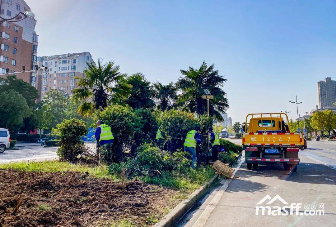 市園林處積極組織施工單位對鐵路建設涉及範圍內的苗木進行移植