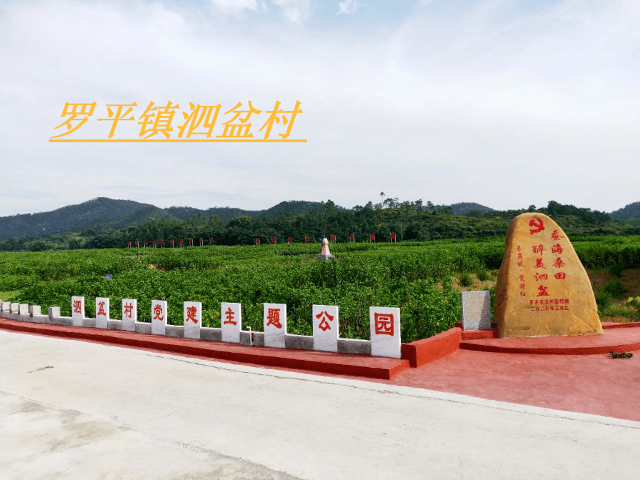 羡慕极了罗定这个村变得好美