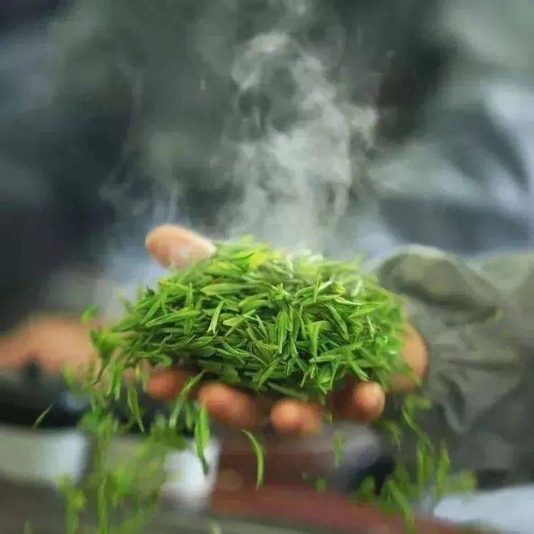 茶艺师可以考证吗_茶艺师证可以买吗_普通人可以报考茶艺师证吗