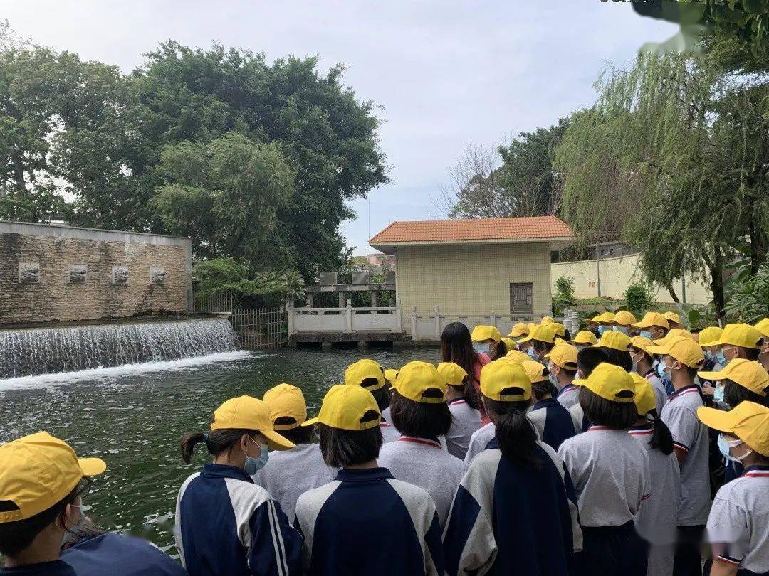 涨知识的旅程盐步三中学生体验大沥水环境治理成效