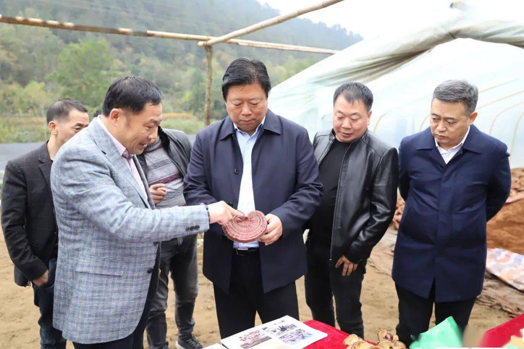 市委书记,市长方红卫带领市委组织部,市扶贫办等部门,深入洋县检查