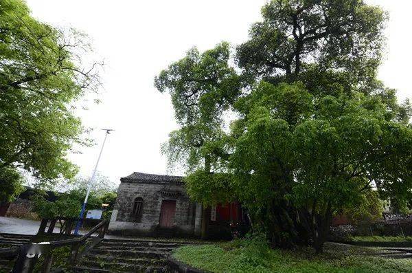 老龍廟/娘娘祖廟資料圖,版權歸原作者如今的龍門村,人煙漸稀.