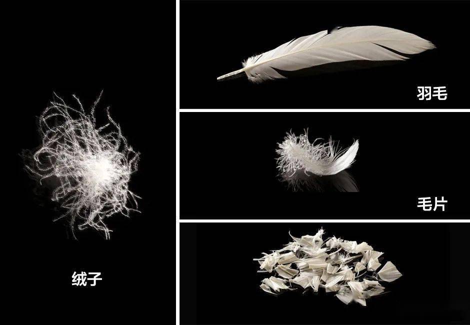 【理想物】"黑科技"羽绒服,摆脱臃肿,冬天也能飒起来!_鸭绒