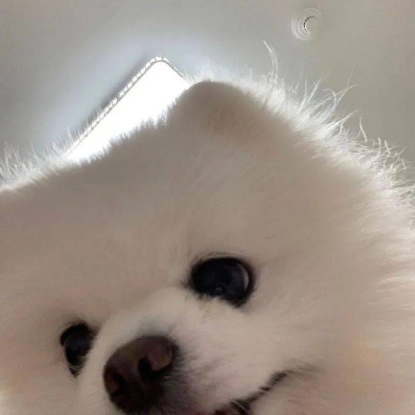 头像大全 | 谈恋爱吗 谈两天 这周末我没事_低头