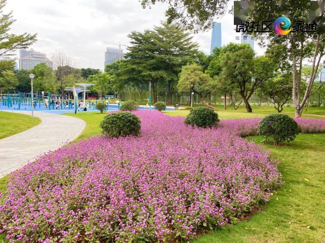 二沙島體育公園正式開放多類運動器械滿足各年齡層需求各類球場開放