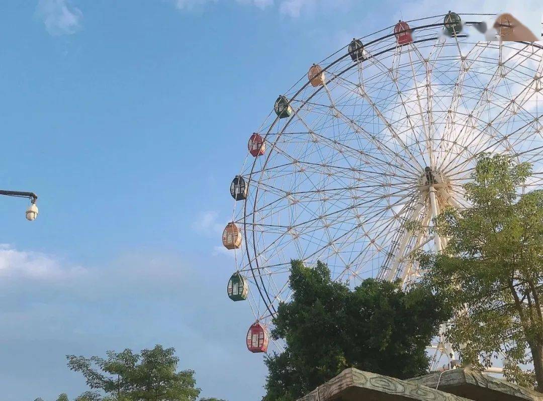 梧州將新增3家aaaa景區分別是玫瑰湖公園中山公園和六堡茶生態旅遊