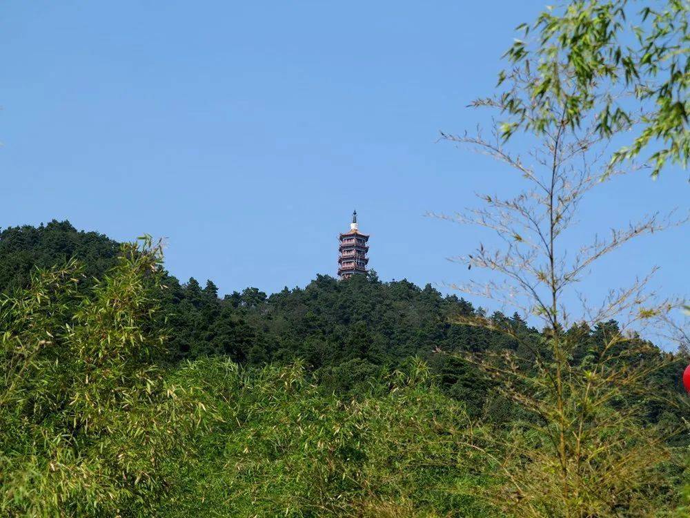 刚刚凤泉区火了