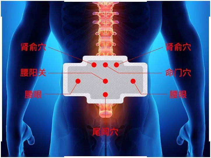 以为只是腰疼半月后竟瘫痪在床腰椎出现这些问题千万别拖