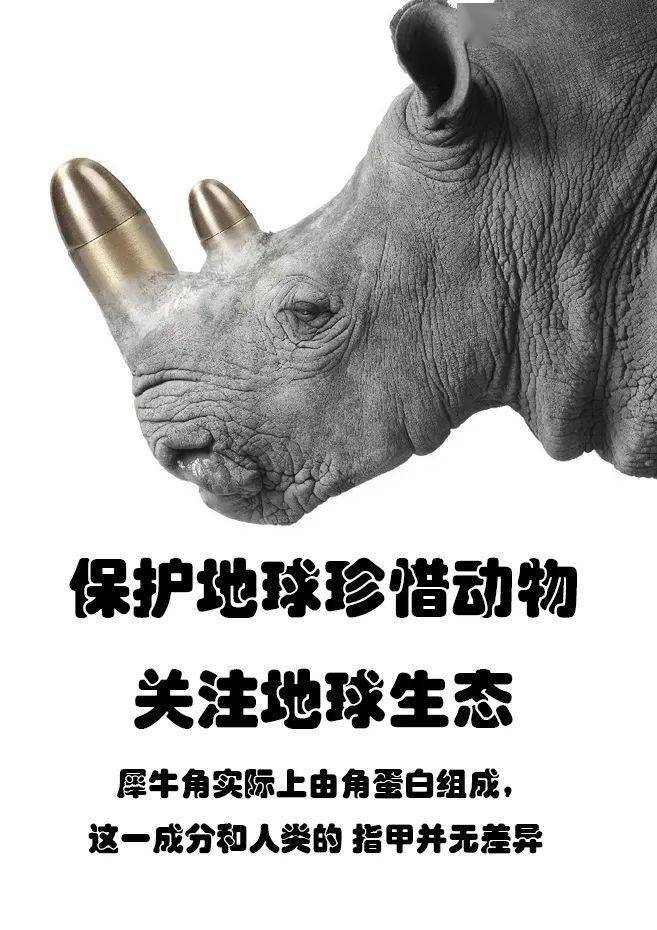 你见过这样的海报吗