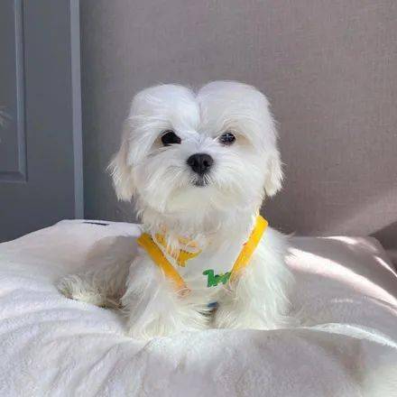 中分也是毫无压力哦