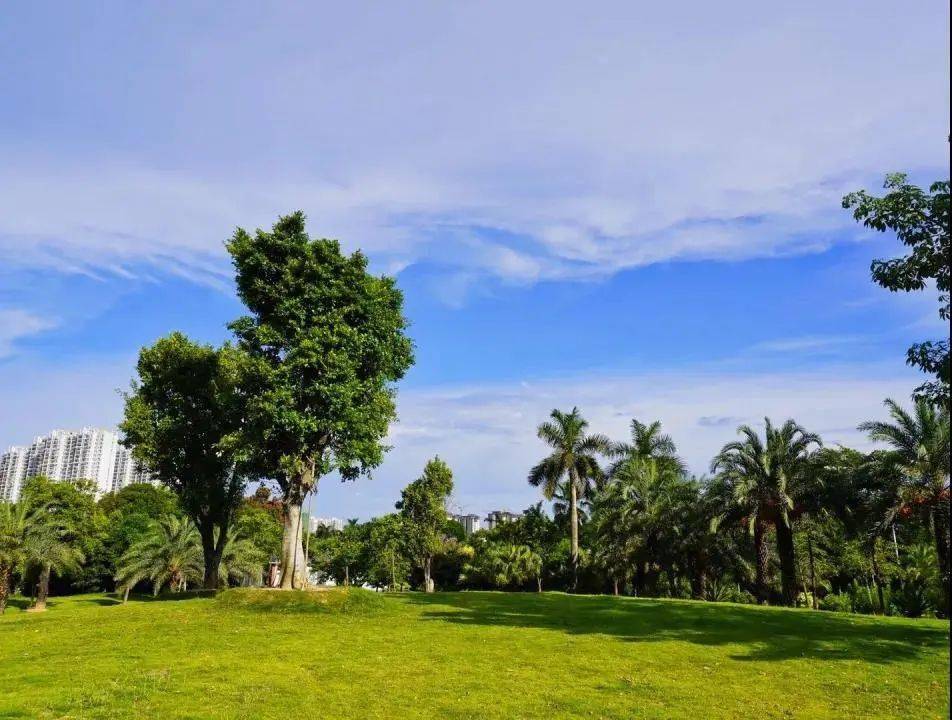 南寧花卉公園——幽蘭苑地址:良慶區那馬鎮大王灘景區參考價格:門票20