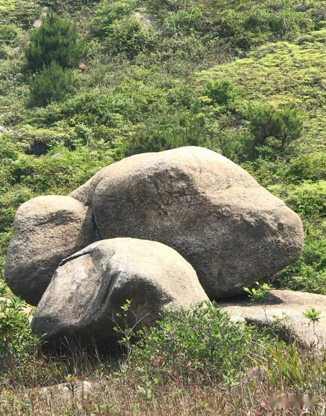 织梦岛 乌龟岩图片