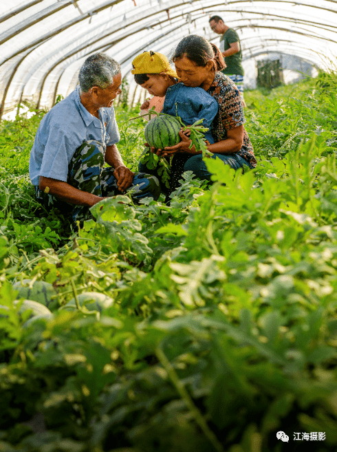 美丽农村幸福生活我眼中的全面小康社会摄影征稿入选作品选登之四