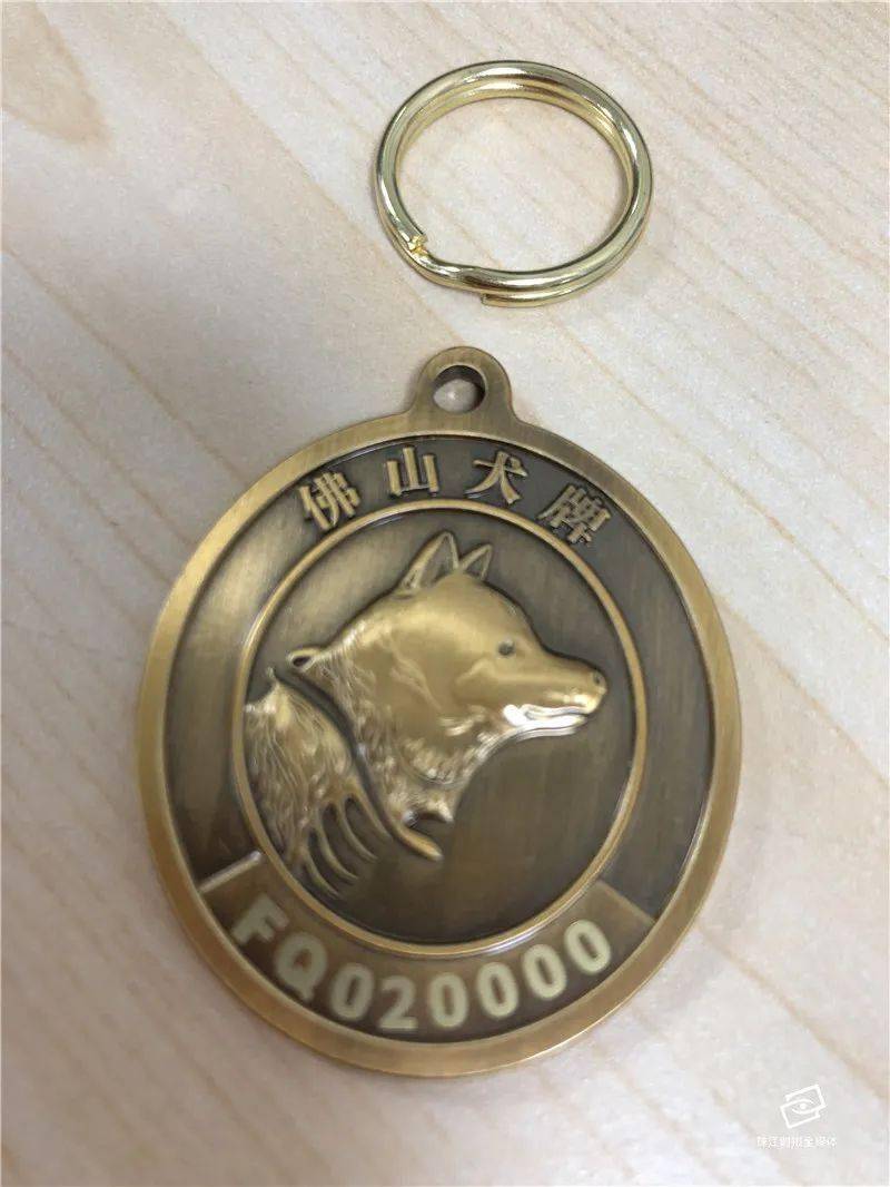 养犬需办身份证九江这只犬第一个拿了牌