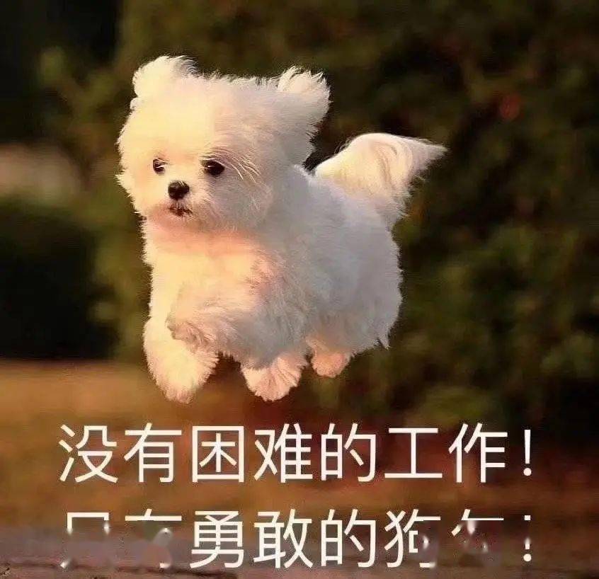 加油 打工人们!