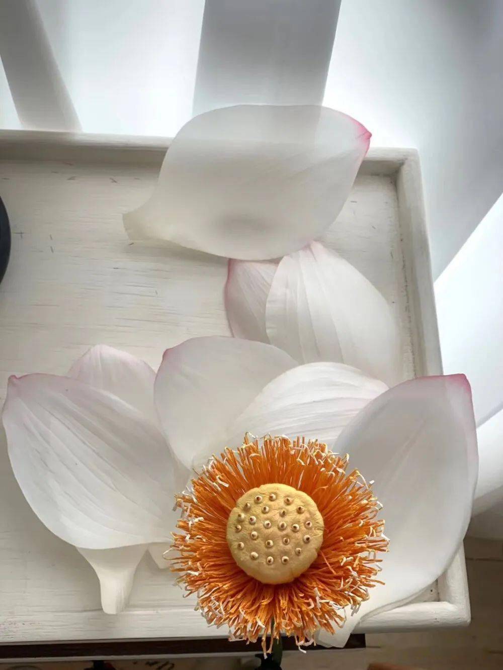 仙气飘飘的皱纹纸仿真荷花