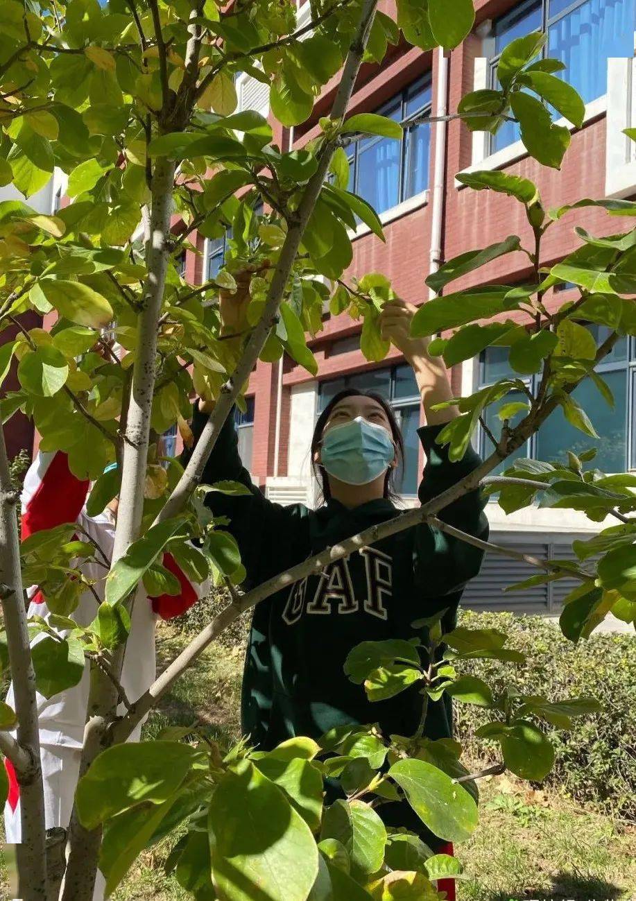 关于北大人民医院、门头沟区黄牛票贩子号贩子一个电话的信息