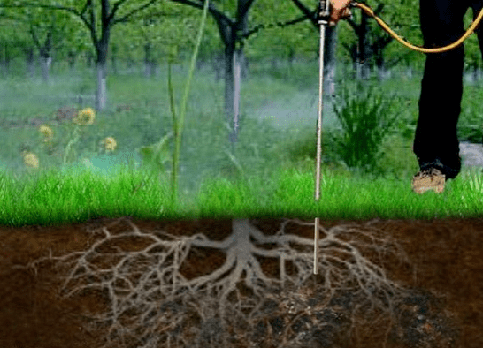 密集层分布的深度而定,施肥位置应在树冠滴水线外围垂直的土层部位