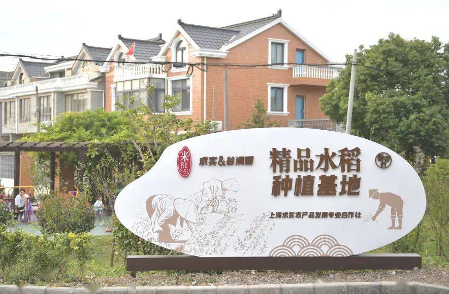 美在生态,富在产业,根在文化,新寺村的美丽蜕变在这里