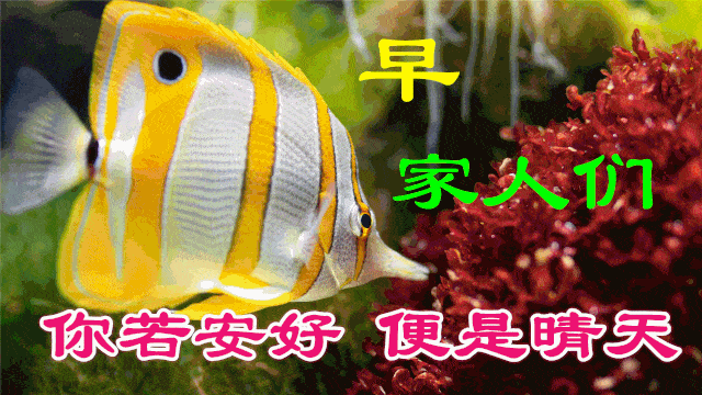 最新版非常漂亮的早上好表情图片 温馨早安心语语录_祝福