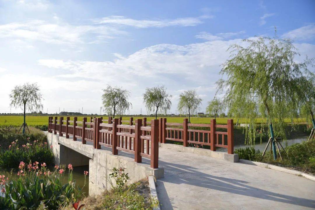 美在生态富在产业根在文化新寺村的美丽蜕变在这里