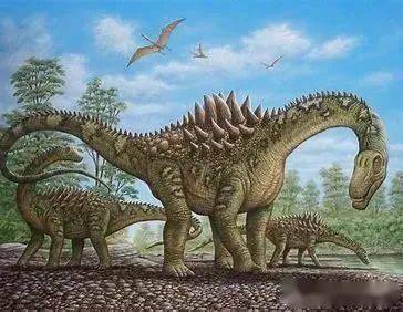 葡萄园龙长长的脖子,使它们可以吃到高处植物的叶子,这和现今的长颈鹿