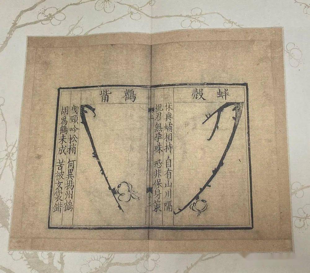 揭秘古籍技艺 古书装帧“成长记”-搜狐大视野-搜狐新闻