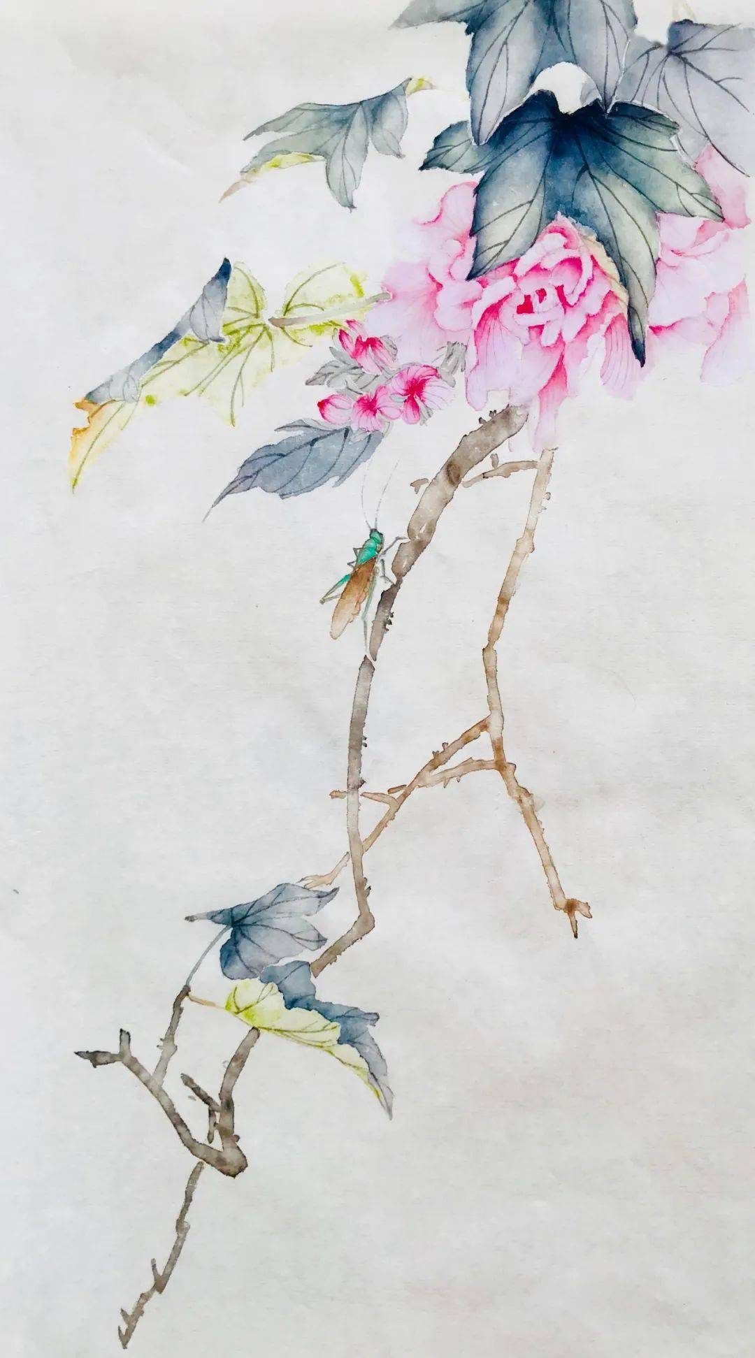 张雪莲第3期没骨梅兰竹菊技法班只需100元