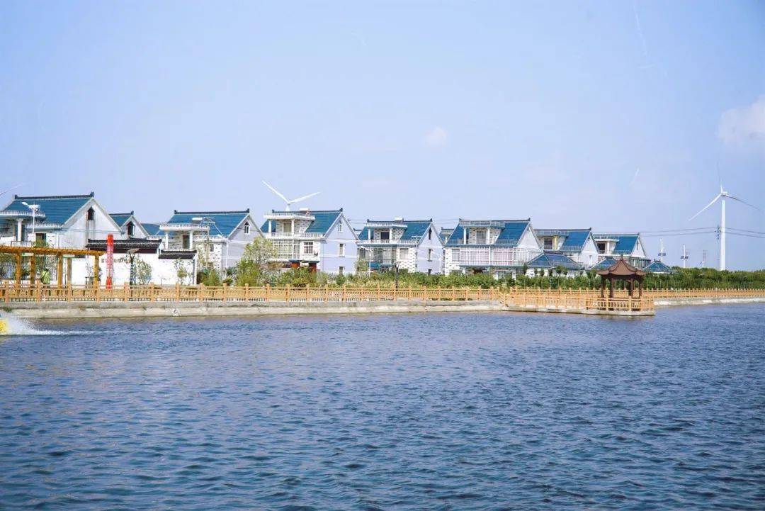 与海为邻近海而盛│南通这座美丽乡村坐拥无敌海景爱了爱了