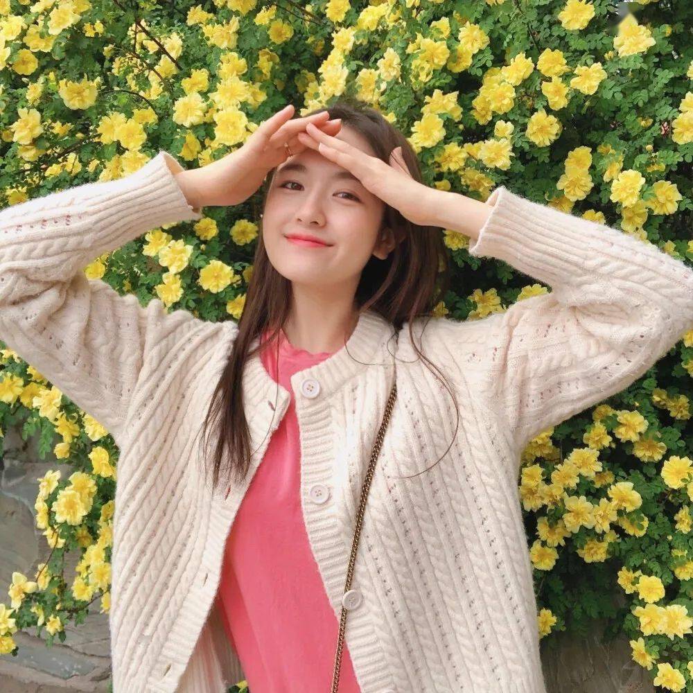 微信头像李兰迪