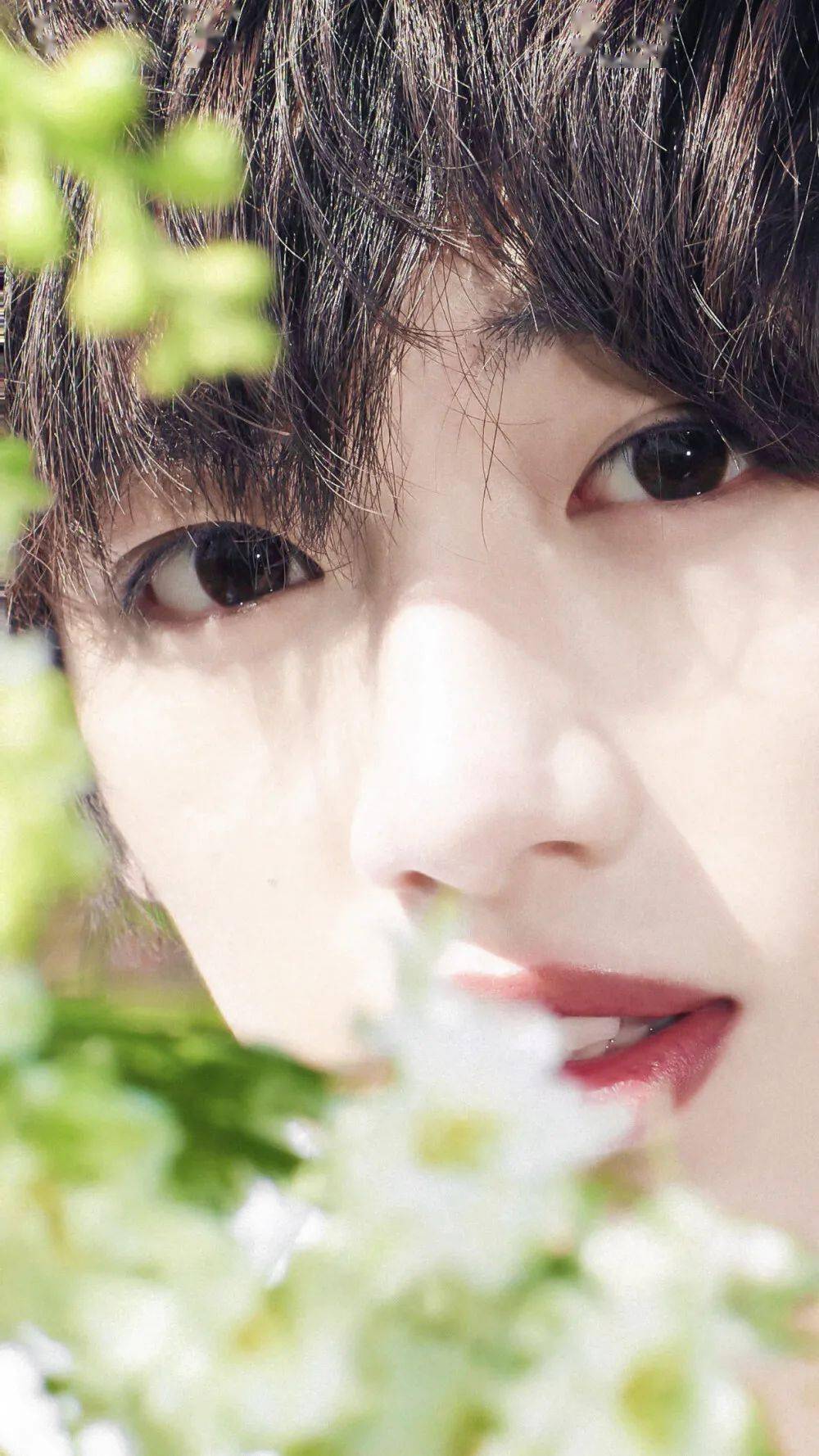 手机壁纸马嘉祺